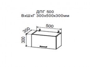 Шкаф верхний ДПГ500 горизонтальный в Первоуральске - pervouralsk.магазин96.com | фото
