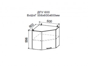 Шкаф верхний ДПУ600 угловой в Первоуральске - pervouralsk.магазин96.com | фото